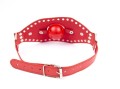Passion Labs ballgag with mouth BDSM - red