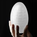 Lovetoy GIANT EGG transparent male masturbator egg 