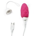Lovetoy iJOY WIRELESS EGG  remote-controlled waterproof egg vibrator