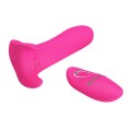Pretty Love multifunctional massager REMOTE CONTROL