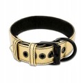 Lovetoy BONDAGE FETISH GOLD PUP COLLAR WITH LEASH