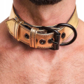 Lovetoy BONDAGE FETISH GOLD PUP COLLAR WITH LEASH