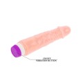 Realistic Vibrator Fantasy Vibe