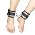 Bed Restraints Kit