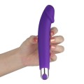 Vibrator Rechargeable Ijoy Silicone Dildo