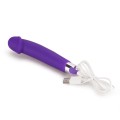 Vibrator Rechargeable Ijoy Silicone Dildo