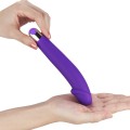 Vibrator Rechargeable Ijoy Silicone Dildo