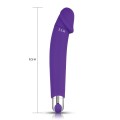 Vibrator Rechargeable Ijoy Silicone Dildo