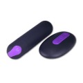 Lovetoy iJoy Remote Control Vibro panties 