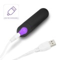 Lovetoy iJoy Remote Control Vibro panties 
