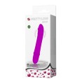 VIBRATOR Pretty Love BECK