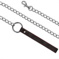 Lovetoy Collar and leash set