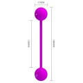 Pretty Love KEGEL BALL 30G/50G