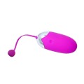 Love Vibrating Egg  Pretty Love ABNER