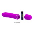 VIBRATOR Pretty Love BECK